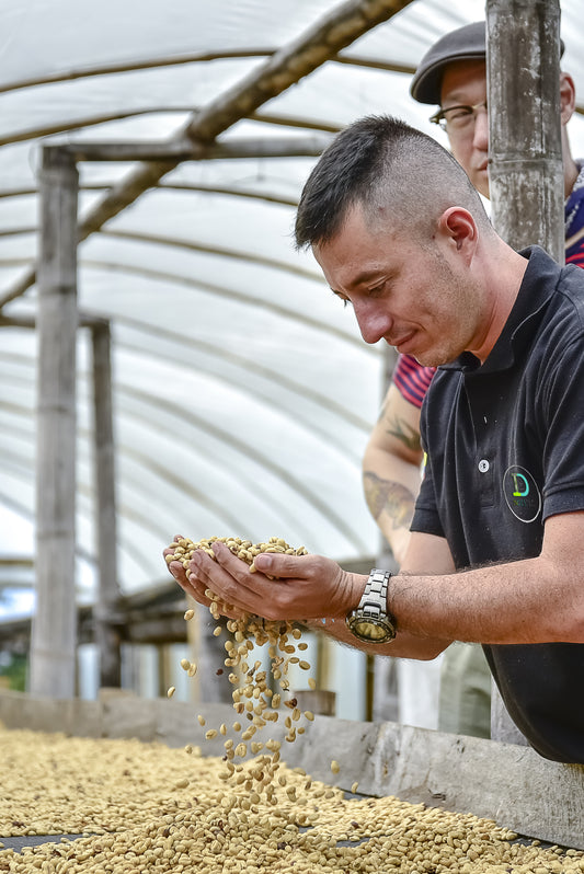 Lychee Finca El Paraiso Colombia | Diego Samuel Bermudez Tapia | Coffee Beans